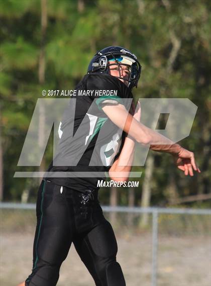 Thumbnail 1 in Springstead @ Weeki Wachee photogallery.