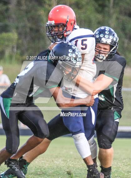 Thumbnail 1 in Springstead @ Weeki Wachee photogallery.