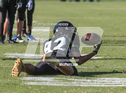 Thumbnail 2 in Springstead @ Weeki Wachee photogallery.