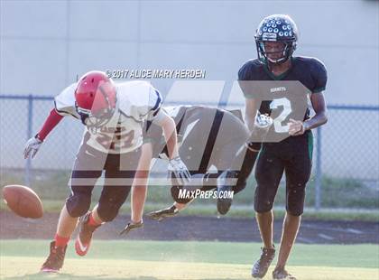 Thumbnail 2 in JV: Springstead @ Weeki Wachee photogallery.