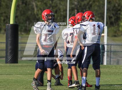 Thumbnail 1 in Springstead @ Weeki Wachee photogallery.