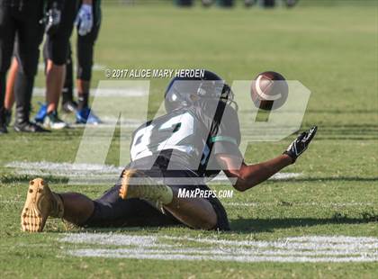 Thumbnail 1 in Springstead @ Weeki Wachee photogallery.