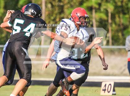 Thumbnail 3 in Springstead @ Weeki Wachee photogallery.