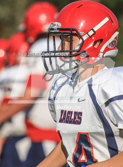 Thumbnail 3 in JV: Springstead @ Weeki Wachee photogallery.