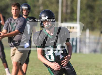 Thumbnail 1 in Springstead @ Weeki Wachee photogallery.