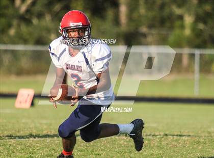 Thumbnail 1 in Springstead @ Weeki Wachee photogallery.