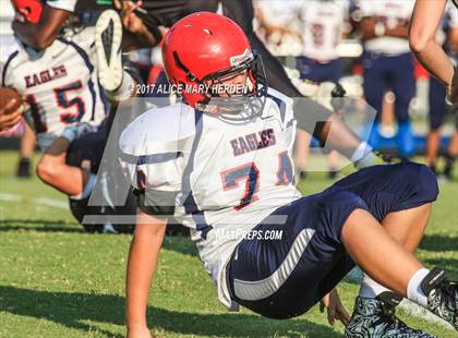 Thumbnail 3 in Springstead @ Weeki Wachee photogallery.