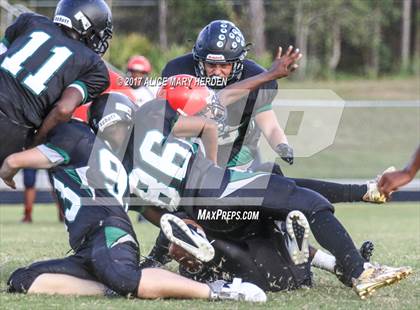 Thumbnail 3 in Springstead @ Weeki Wachee photogallery.