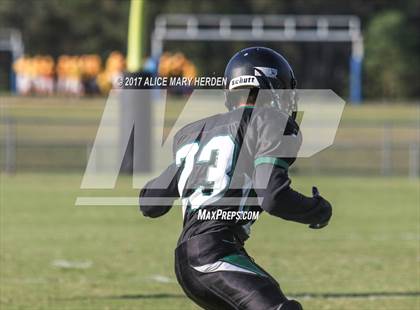 Thumbnail 3 in Springstead @ Weeki Wachee photogallery.