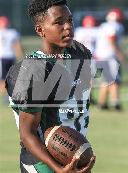 Thumbnail 1 in Springstead @ Weeki Wachee photogallery.