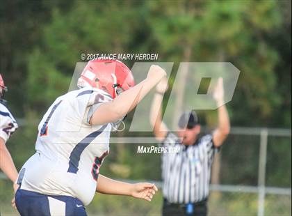 Thumbnail 3 in Springstead @ Weeki Wachee photogallery.