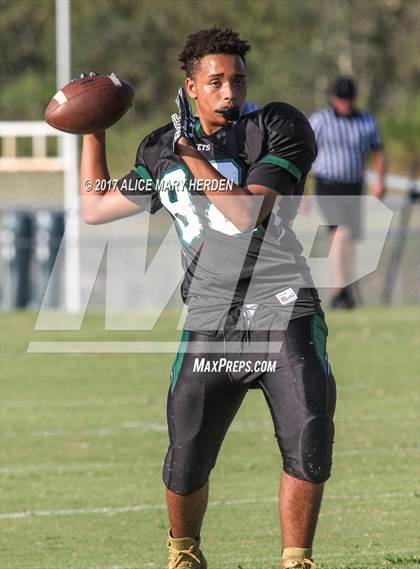 Thumbnail 1 in Springstead @ Weeki Wachee photogallery.