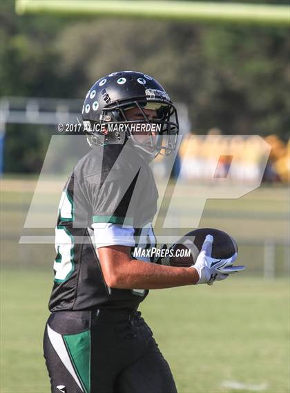 Thumbnail 1 in Springstead @ Weeki Wachee photogallery.