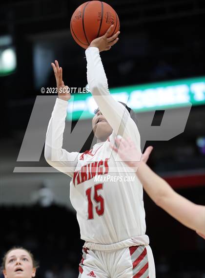 Thumbnail 1 in Midview vs Princeton (OHSAA D1 State Semifinal) photogallery.