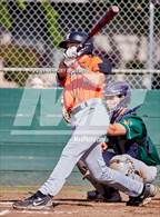 Photo from the gallery "Roseville @ Rio Americano"