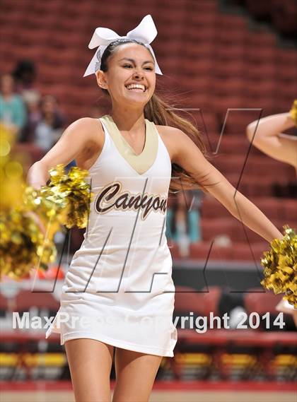 Thumbnail 1 in Canyon vs. Westlake (DIV 2AA CIF SS Final) photogallery.