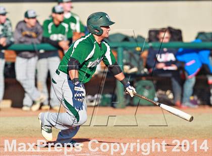 Thumbnail 2 in Venice vs. Gainesville photogallery.