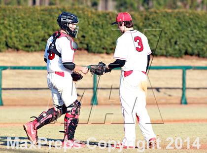 Thumbnail 3 in Venice vs. Gainesville photogallery.
