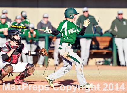 Thumbnail 1 in Venice vs. Gainesville photogallery.