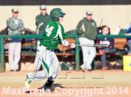 Thumbnail 1 in Venice vs. Gainesville photogallery.