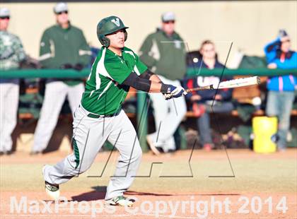 Thumbnail 3 in Venice vs. Gainesville photogallery.