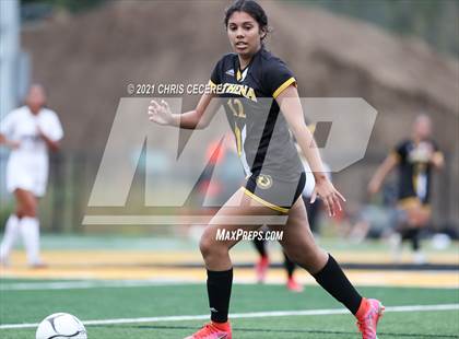Thumbnail 1 in Mendon @ Greece Athena photogallery.