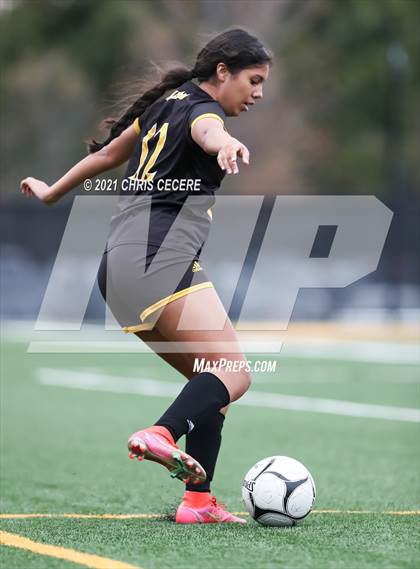 Thumbnail 2 in Mendon @ Greece Athena photogallery.