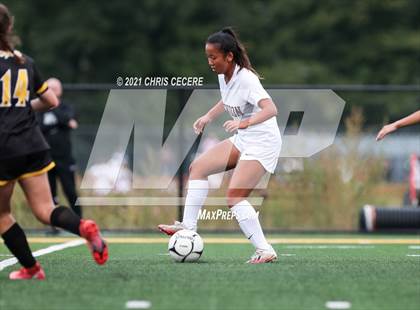 Thumbnail 1 in Mendon @ Greece Athena photogallery.