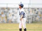 Photo from the gallery "Brunswick @ Kent"