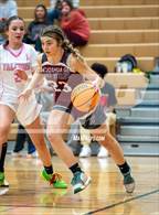 Photo from the gallery "The Classical Academy @ Falcon"