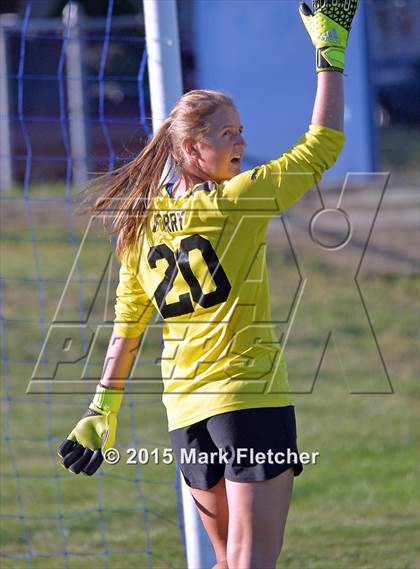 Thumbnail 1 in Hammonton @ Triton photogallery.