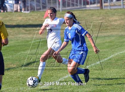 Thumbnail 1 in Hammonton @ Triton photogallery.