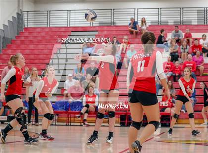 Thumbnail 3 in JV: Gunter @ Pottsboro photogallery.
