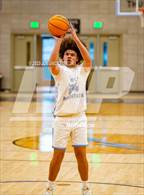 Photo from the gallery "Cholla @ Mica Mountain"