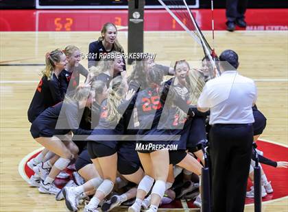 Thumbnail 3 in Lovejoy vs. Manvel (UIL Volleyball 5A Semifinals) photogallery.