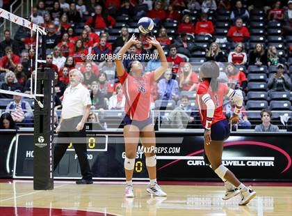 Thumbnail 1 in Lovejoy vs. Manvel (UIL Volleyball 5A Semifinals) photogallery.