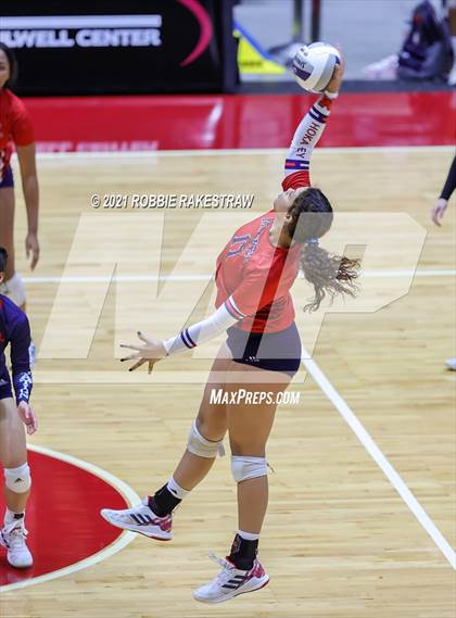 Thumbnail 1 in Lovejoy vs. Manvel (UIL Volleyball 5A Semifinals) photogallery.