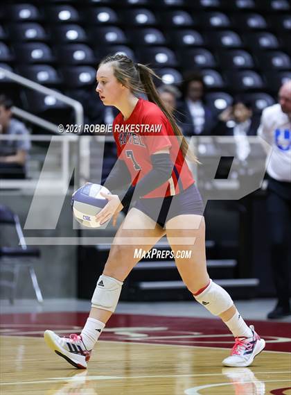Thumbnail 3 in Lovejoy vs. Manvel (UIL Volleyball 5A Semifinals) photogallery.