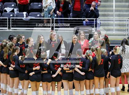 Thumbnail 1 in Lovejoy vs. Manvel (UIL Volleyball 5A Semifinals) photogallery.