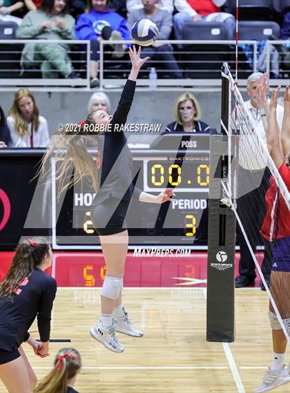 Thumbnail 1 in Lovejoy vs. Manvel (UIL Volleyball 5A Semifinals) photogallery.