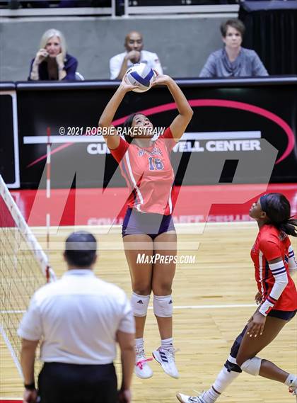 Thumbnail 1 in Lovejoy vs. Manvel (UIL Volleyball 5A Semifinals) photogallery.