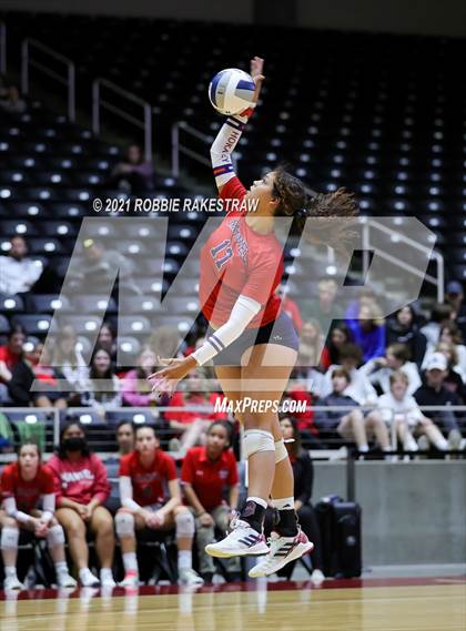 Thumbnail 3 in Lovejoy vs. Manvel (UIL Volleyball 5A Semifinals) photogallery.