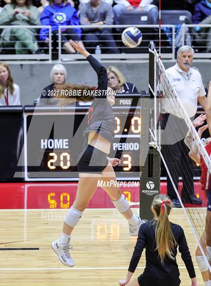 Thumbnail 2 in Lovejoy vs. Manvel (UIL Volleyball 5A Semifinals) photogallery.