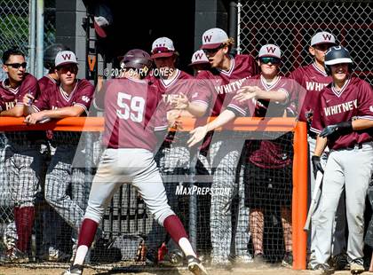 Thumbnail 2 in Whitney @ Roseville (game 2) photogallery.
