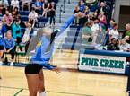 Photo from the gallery "Rampart @ Pine Creek"