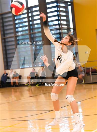 null - Photo 61