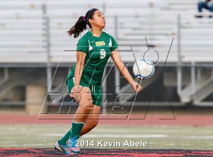 Thumbnail 2 in Alhambra vs. Peoria (Pride in Paradise Tournament) photogallery.