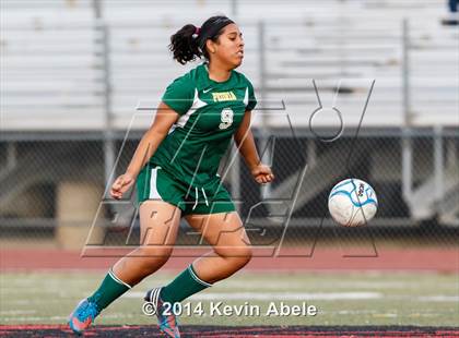 Thumbnail 3 in Alhambra vs. Peoria (Pride in Paradise Tournament) photogallery.