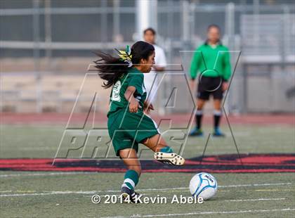 Thumbnail 1 in Alhambra vs. Peoria (Pride in Paradise Tournament) photogallery.