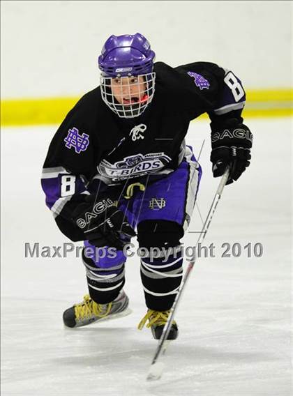 Thumbnail 2 in North Branford @ Lyman Hall photogallery.